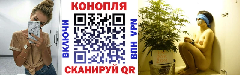 блэк спрут ТОР  Пойковский  Канабис MAZAR  где купить наркоту 
